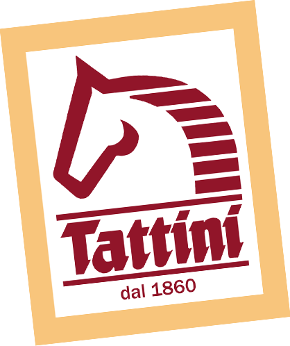 Tattini Riding Romania logo